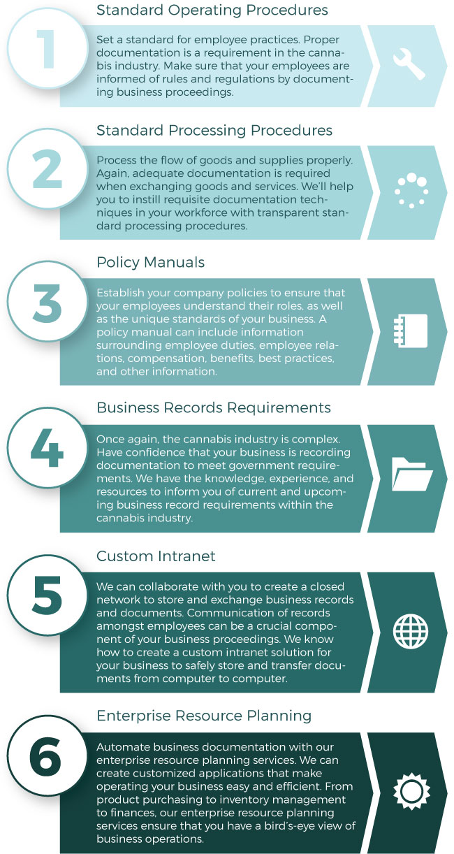 Business Documentation - Evolutionz Consulting